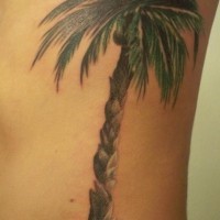 Grande palma colorata tatuata sul fianco