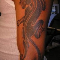 Pantera nera mugliando tatuaggio sul braccio