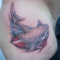 el tatuaje con un tiburon hecho en color en la cadera