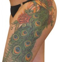Grande impressionante tatuaggio che inizia dalla pancia e continua sulla gamba: bellissimo pavone colorato
