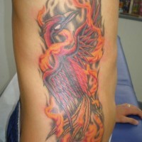 Fenice giovane in fiamma tatuaggio