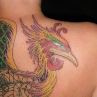 el tatuaje de la ave fenix colorada hecho en la espalda