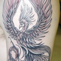 Phoenix black ink tattoo