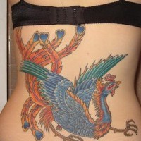 el tatuaje detallado y colorado de la ave magica fenix azul en la espalda