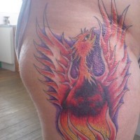 Phoenix in flames tattoo in colour