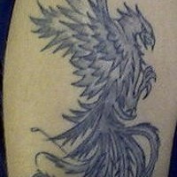 el tatuaje de la ave fenix en tinta negra hecho en el hombro