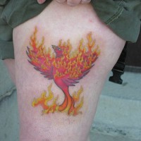Erstaunliches Tattoo von epischem Feuervogel