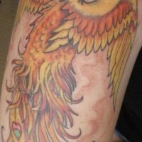 Colourful phoenix tattoo on arm