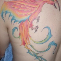 el tatuaje grande y colorado de la ave magica Fenix hecho en la espalda