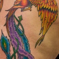 el tatuaje de la ave fenix muy colorada con un collar en su pico