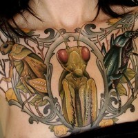 Le tatouage de mante religieuse, de sauterelle et de scarabée