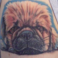 Fluffy puppy dog tattoo