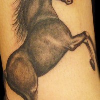 Realistisches schwarzes Pferd Tattoo