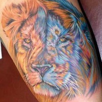 Super realistischer Löwenkopf Tattoo