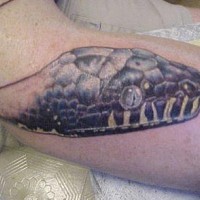 Muy realístico tatuaje cabeza de la serpiente