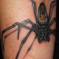 Realistic scary spider tattoo