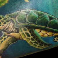 Realistic dark green turtle tattoo