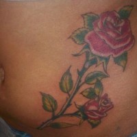 Stomach tattoo, red rose and bud