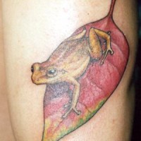 Yellow frog on fallen leaf tattoo
