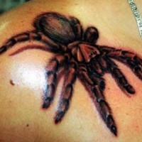 Realistic large spider tattoo