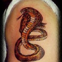 Realistische goldene Kobra Tattoo