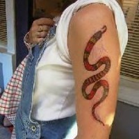 Colourful small snake tattoo on arm