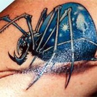 Realistic scary spider coloured tattoo