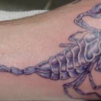 Realistic black scorpion tattoo