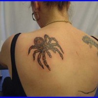 Large spider tattoo on back
