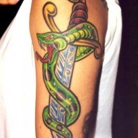 Serpente verde avvolge una spada blu