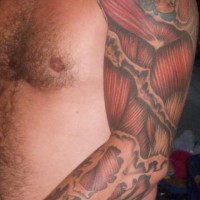 Realistisches Muskelfleisch Tattoo am Arm