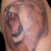 Brüllender Löwe Tattoo in Farbe