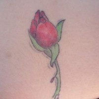 Elegante botón de la rosa tatuaje en color