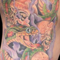 Tatuaggio colorato su tutta schiena il serpente aggressivo & il teschio& la ragnatela
