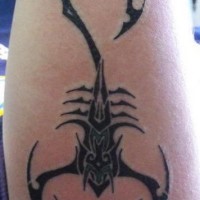Schönes schwarzes Tattoo von gefährlichem symmetrischem Skorpion am Unterarm