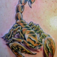 Realistic golden scorpion tattoo