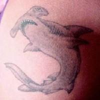Kleines Tattoo mit Hammerhai