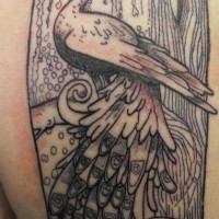 Tatuaggio grande non colorato sulla spalla  il pavone sul ramo
