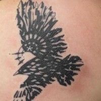 Tatuaggio grande colorato sulla spalla l'aquila che vola