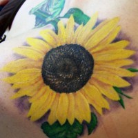 Shoulder tattoo, beautiful sunflower and fish