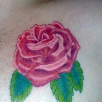 Tatuaggio sulla spalla la rosa bellissima con le foglie