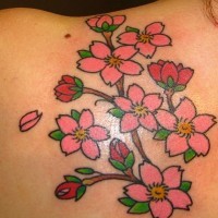 Tatuaggio colorato sulla spalla il ramoscello della sakura fiorito