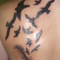 Tatuaje en hombro muchas aves  volando en el cielo y una pluma