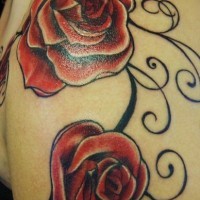 Shoulder tattoo, two beautiful red roses, decorated