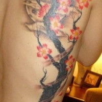 Pittoresco tatuaggio sulla schiena l'albero con i fiori