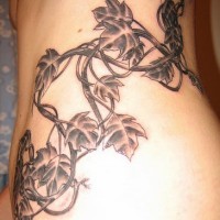 Tatuaggio non colorato sul fianco il ramoscello di edera