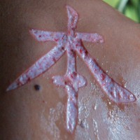 Tatuaje sacrificio en la piel los jeroglíficos chinos