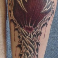 Leg tattoo, long  red skin rip