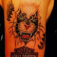 Skin rip panther with harley davidson  tattoo