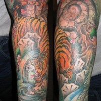 Tigre asiático tatuaje en color en la manga